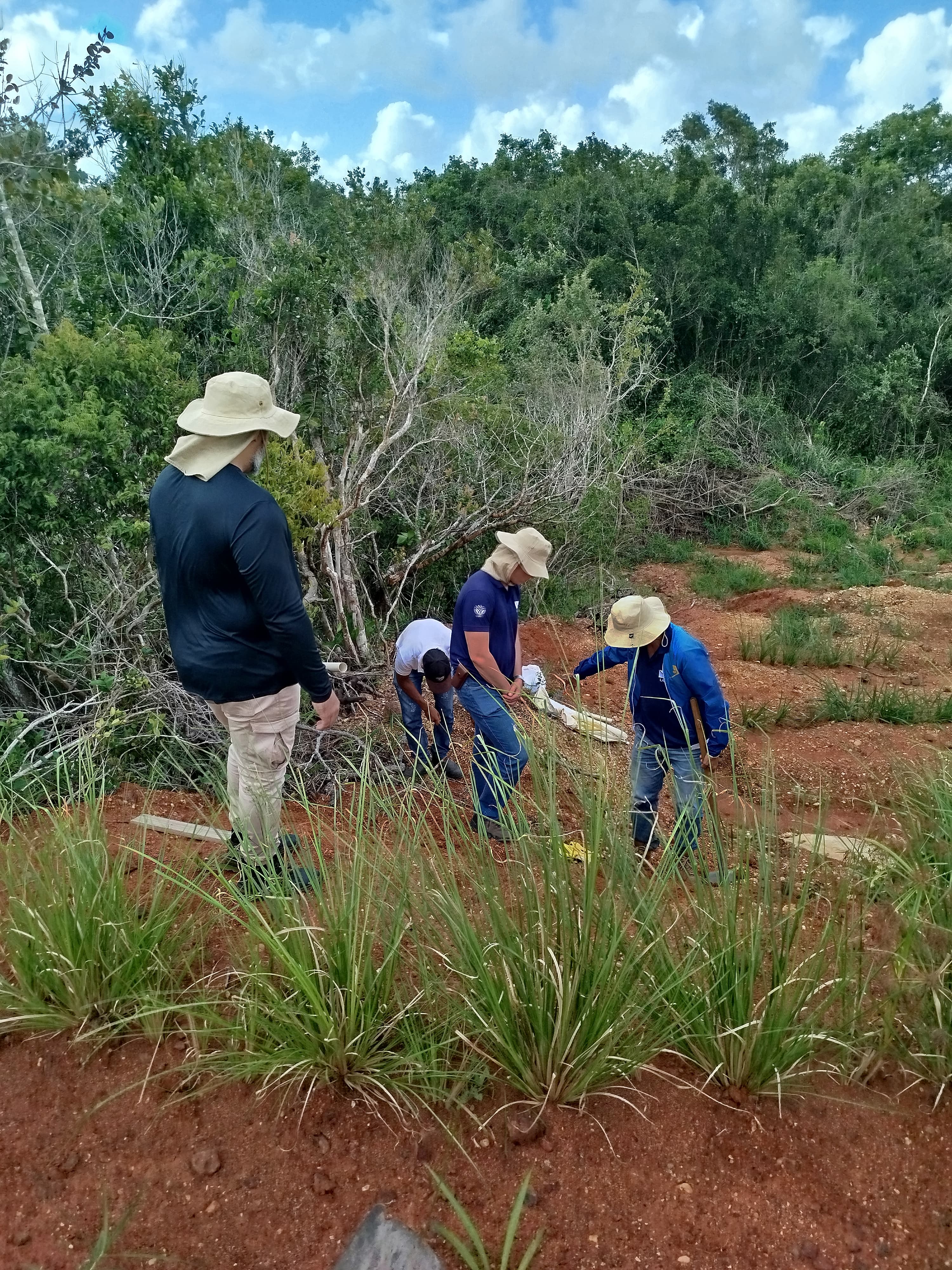 Amostra de solo estratificada em ensaio de laboratório